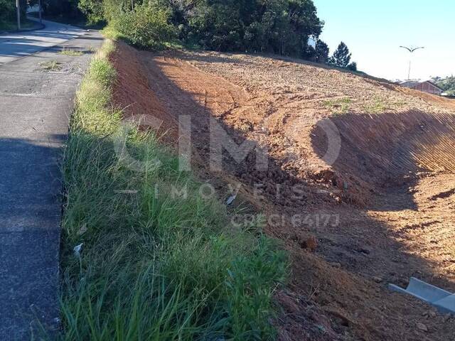 #725 - Terreno para Venda em Blumenau - SC - 2