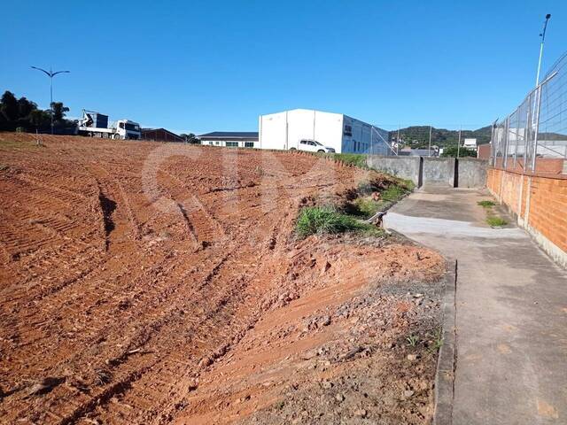 #725 - Terreno para Venda em Blumenau - SC - 3