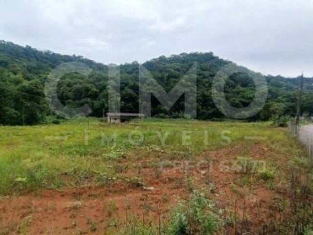 #1146 - Terreno para Venda em Luiz Alves - SC - 1