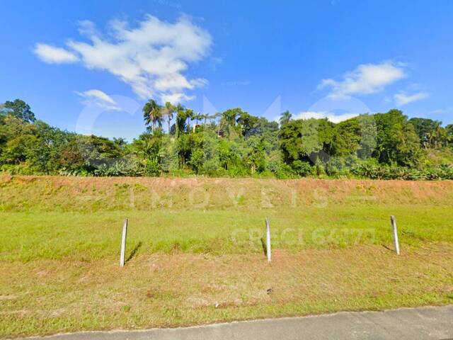 #1054 - Terreno para Venda em Blumenau - SC - 1