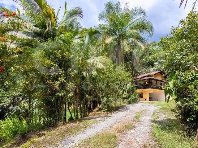 Sítio para Venda em Blumenau - 3