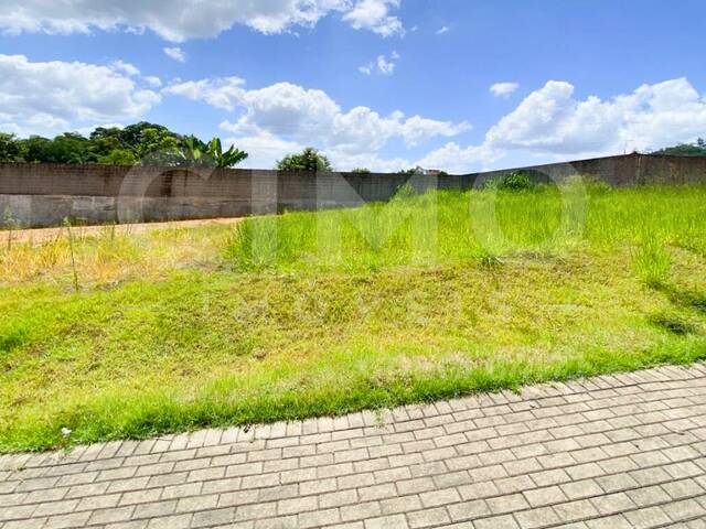 #2033 - Terreno para Venda em Blumenau - SC - 3