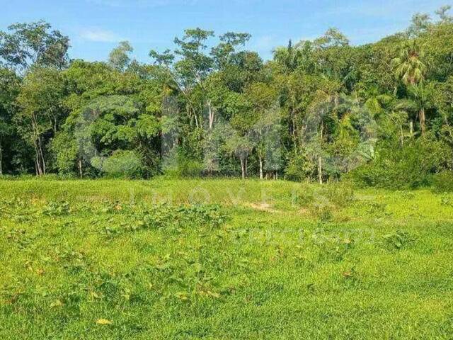 #2078 - Terreno para Venda em Blumenau - SC - 3