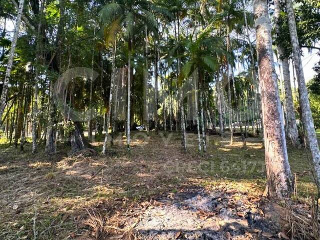 #2241 - Terreno para Venda em Blumenau - SC - 1