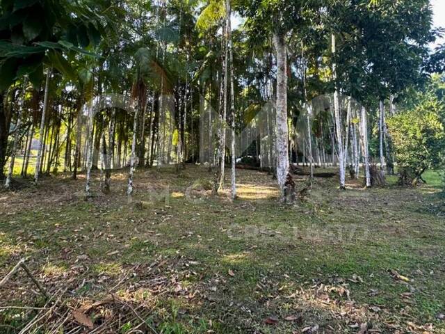 #2241 - Terreno para Venda em Blumenau - SC - 3